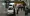 20.webp