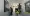 13.webp