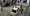 08.webp
