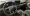 02.webp