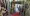 13.webp