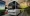 10.webp