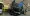 12.webp