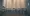 08.webp