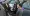 01.webp