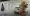 18.webp