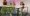 12.webp