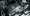 32.webp