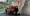 17.webp