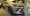 13.webp