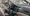 14.webp