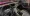 08.webp