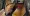 yujh.webp