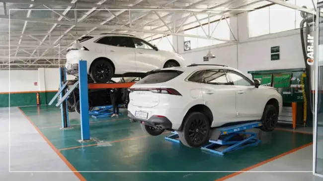 خدمات پس از فروش لاماری (2).webp