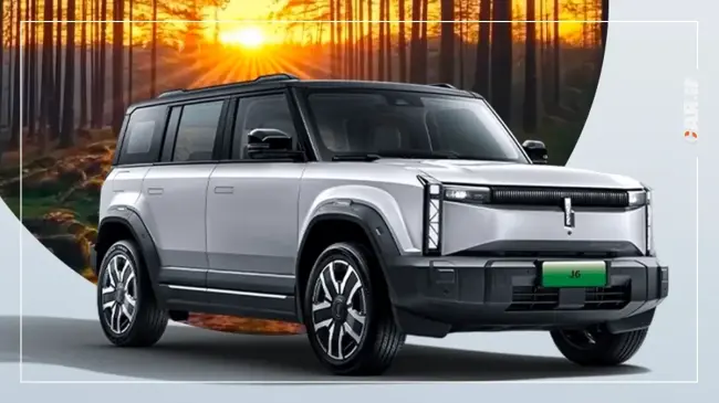 فروش چری در 2025 (4).webp