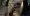 im ls9 (11).webp