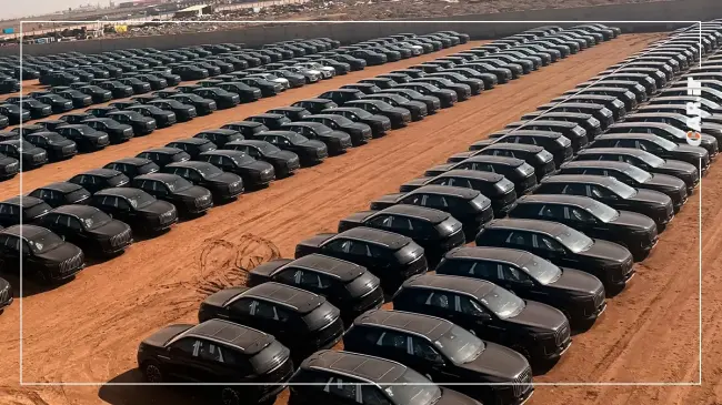 تولید لوکانو 8 (3).webp