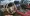 لکسوس LX 600 (4).webp