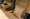 4R5A9524.jpg
