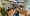 نمایندگی زعفرانیه پرشیا خودرو (4).webp