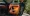 911 (4).webp
