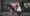 کونیگزگ سدیر اسپیر (10).webp