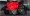 white acce.webp