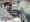 5949800839645957718.webp