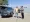 5949800839645957717.webp