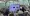 persia1.webp