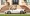 bugatti 8.webp