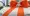 im 5.webp